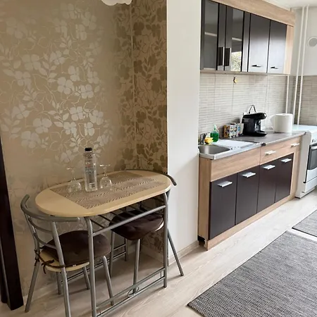 Densia In Close To The Center Appartement